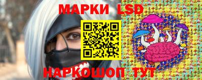spice Дубна