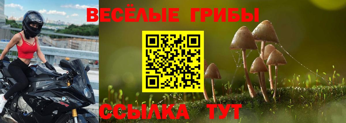 Майский  Галлюциногенные грибы ЛСД  наркошоп  Псилоцибиновые грибы Magic Shrooms  Вход с VPN 
